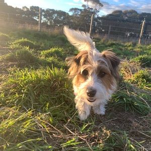 Meet your Posher, Kellie